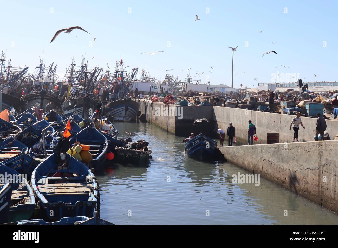 Fishing boats in port of Essaouira Morocco Stock Photo