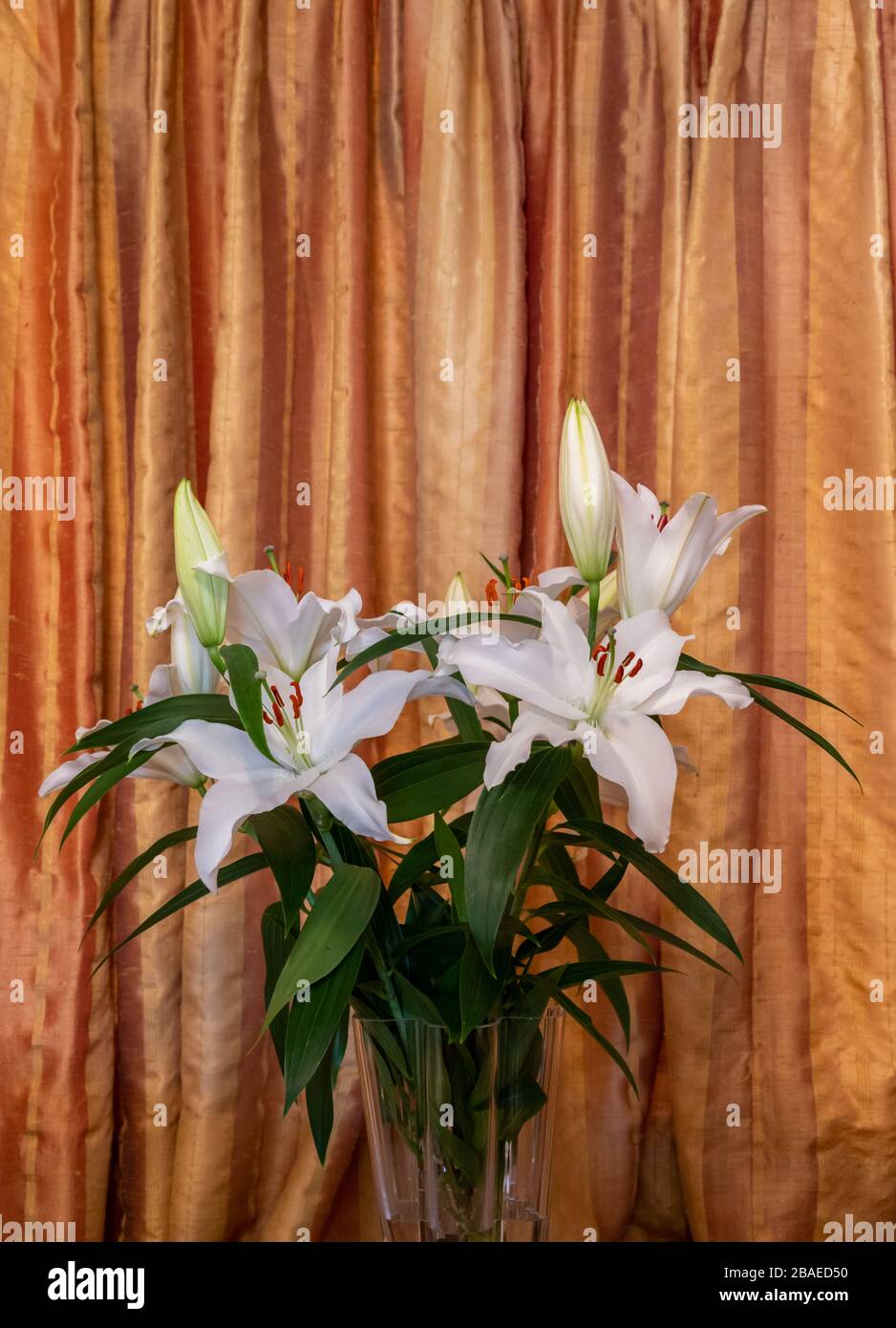 Still life photo of interior with cut lily flowers in a vase with golden silk curtains as backdrop. Stock Photo