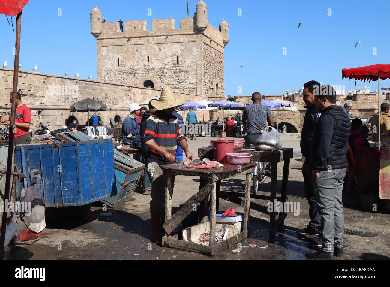 Fishing boats in port of Essaouira Morocco Stock Photo