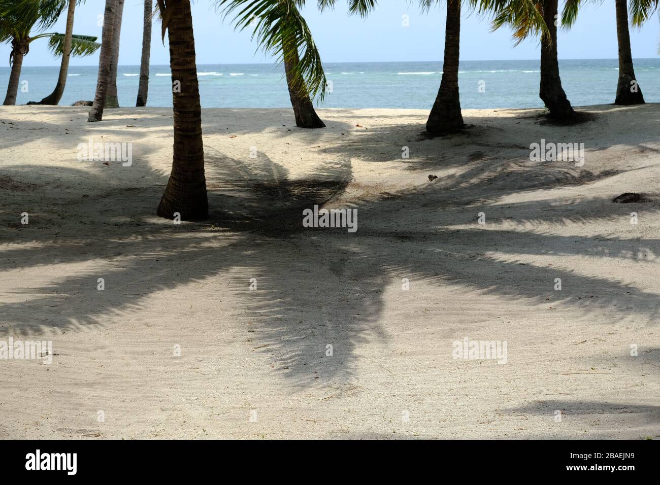 Benan Island Indonesia - palm tree shadow on the beach Stock Photo