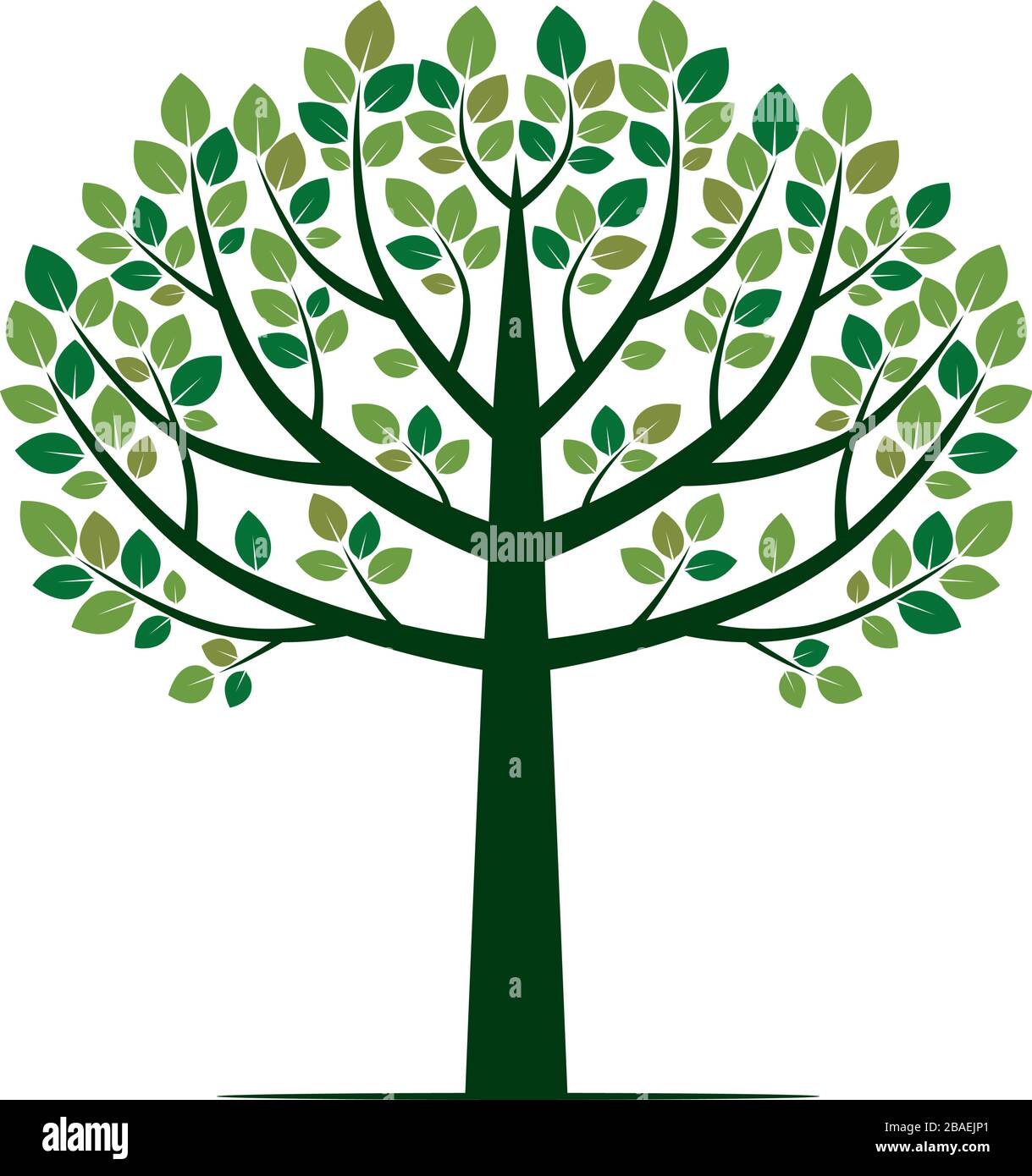 Green Tree and Leaves. Vector Illustration Stock Vector Image & Art - Alamy