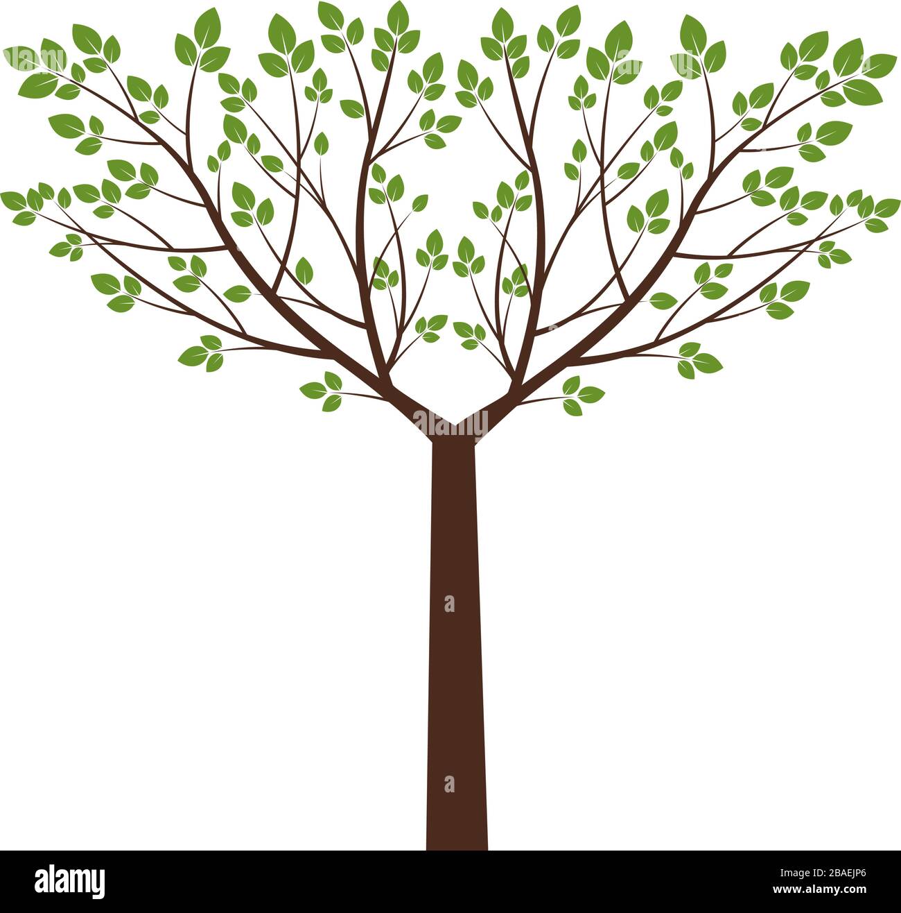 Green Tree and Leaves. Vector Illustration. Stock Vector