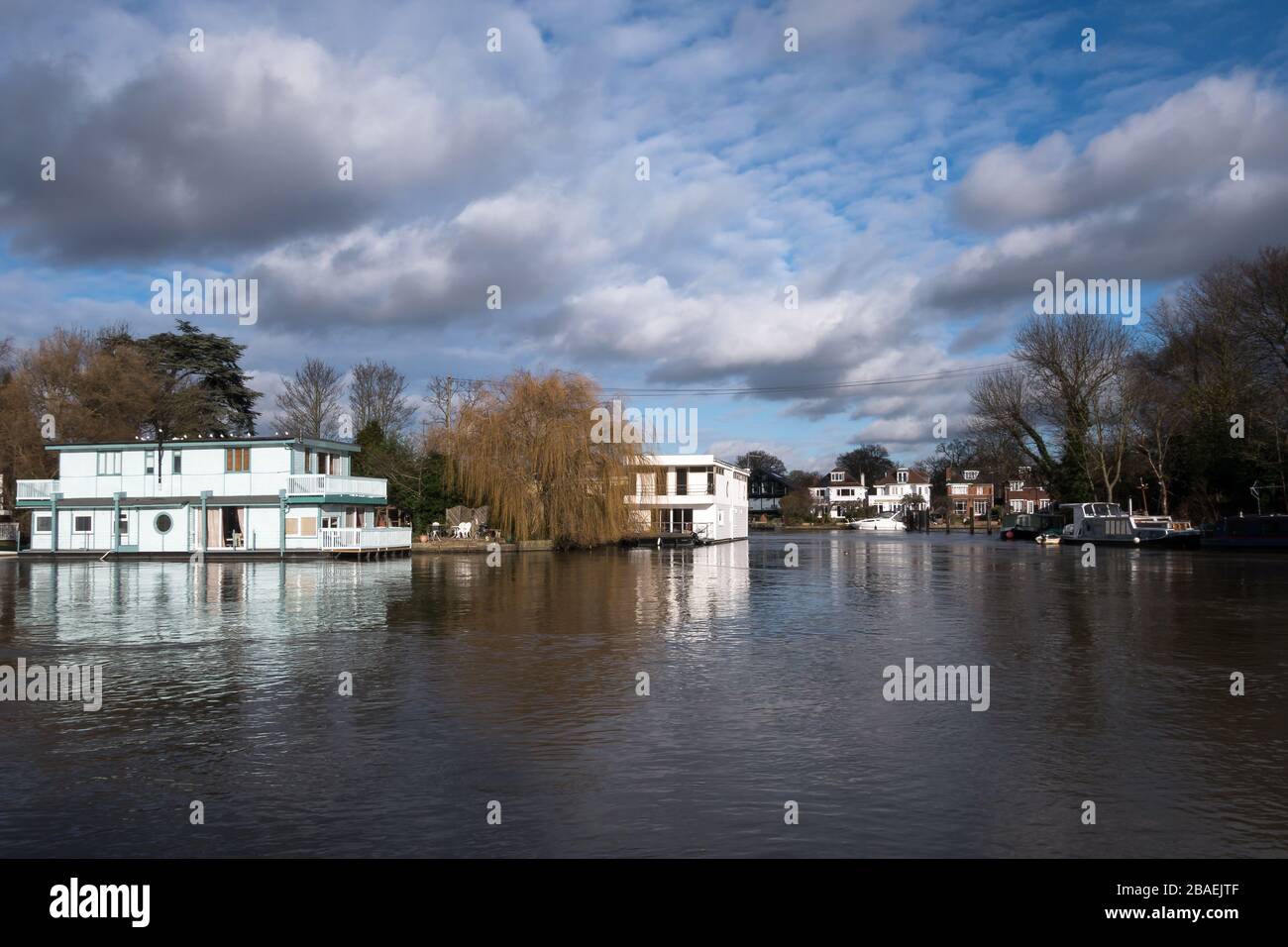 Floating houseboats moored along the shore of the River Thames near Molesey and Hampton Court in the United Kingdom Stock Photo