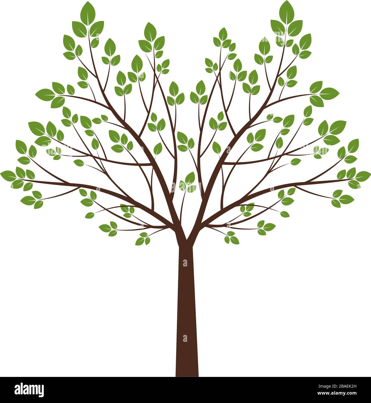 Green Tree and Leaves. Vector Illustration Stock Vector Image & Art - Alamy