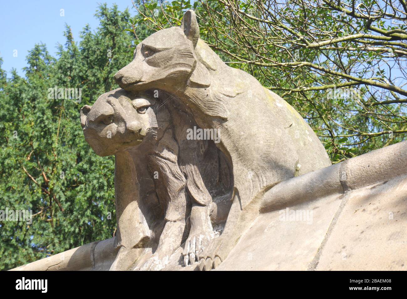 Statue of raccoons on the animal wall, designed by William Burgess, Cardiff Castle, South Wales, United Kingdom Stock Photo