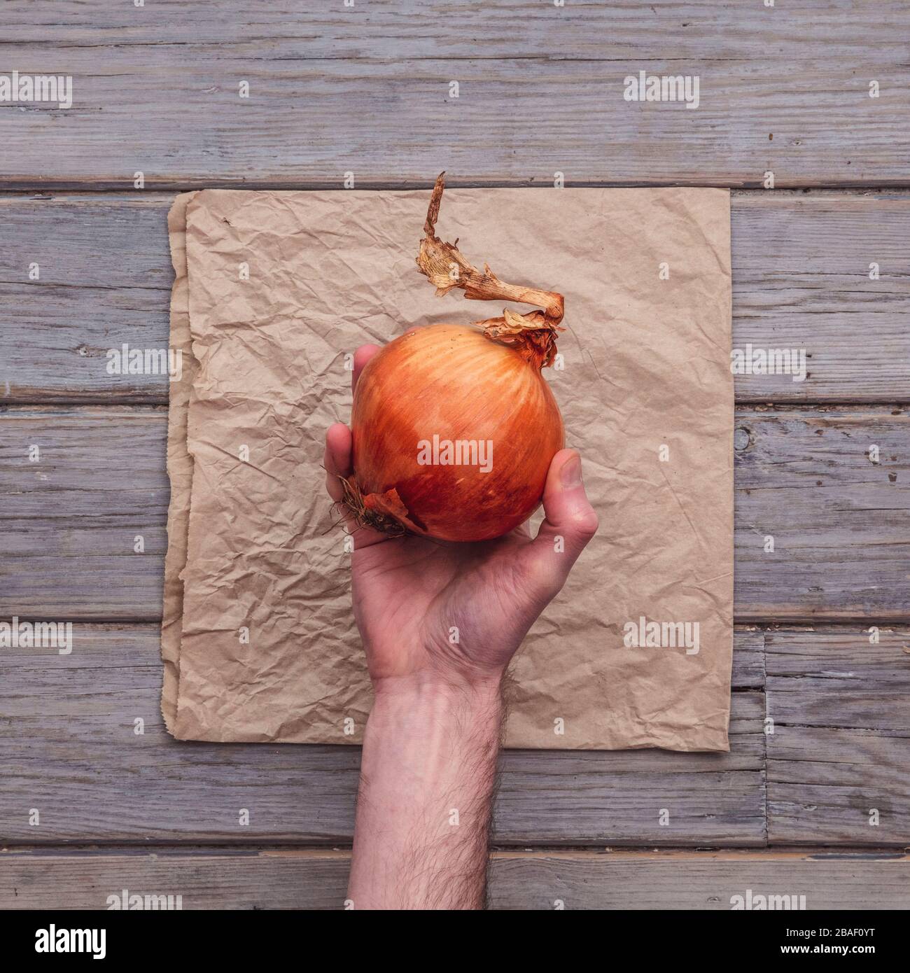 A male hand holding a fresh onion against a rustic background Stock Photo