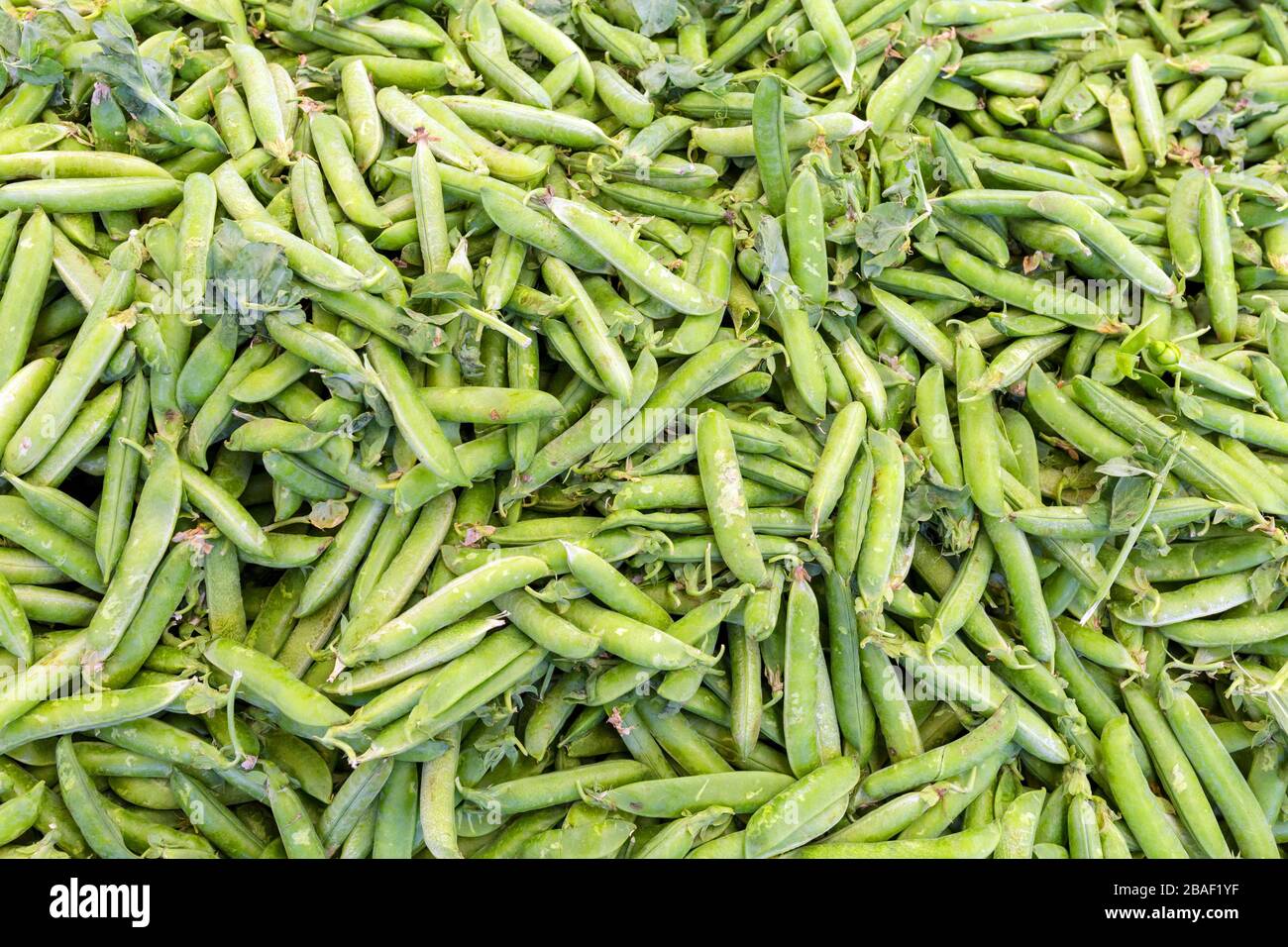 Fresh green peas, background Stock Photo