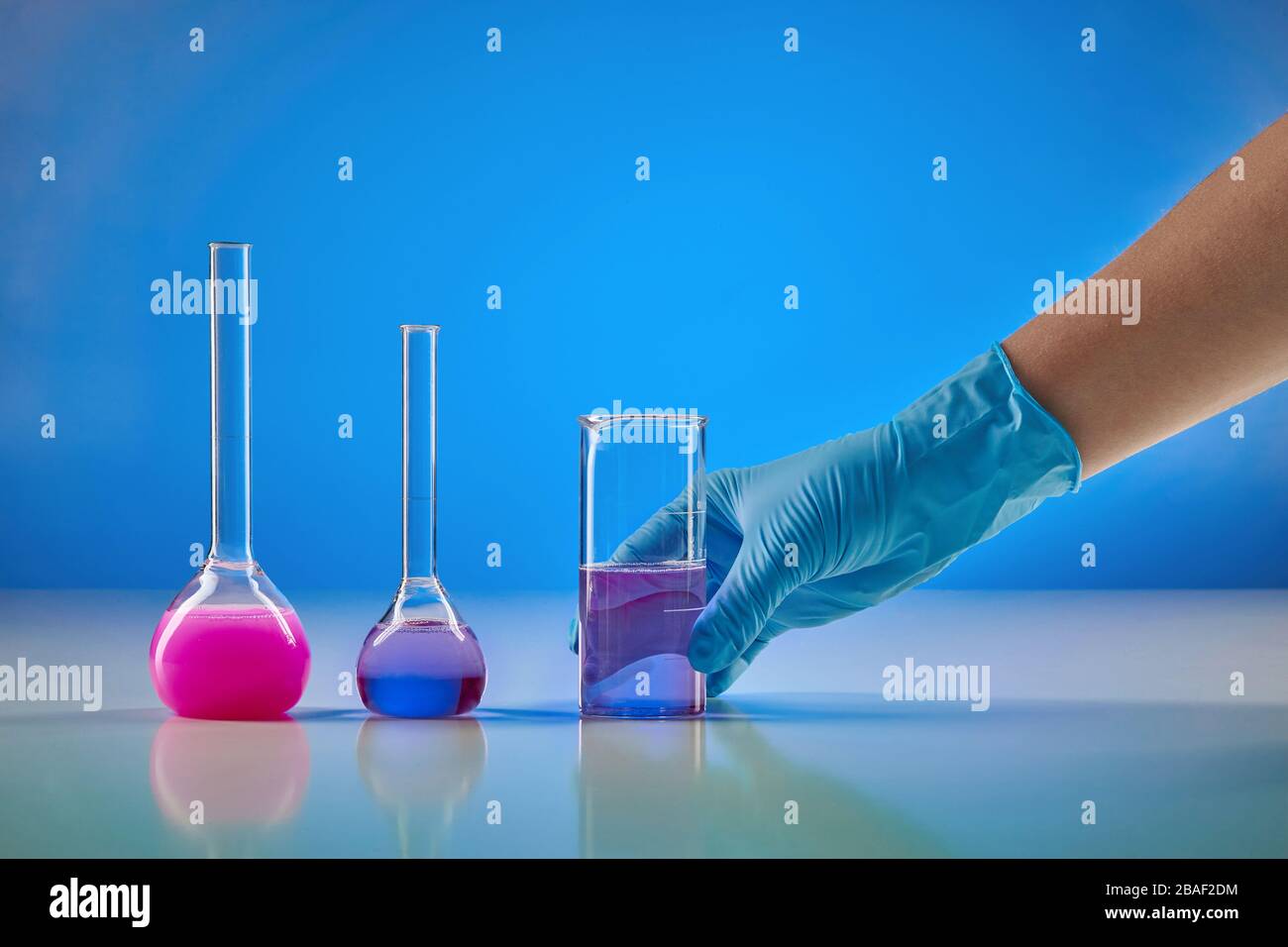 Hand in disposable glove holding beaker with purple liquid. Two medical flasks with colorful chemical reagents, blue background. Coronavirus laborator Stock Photo