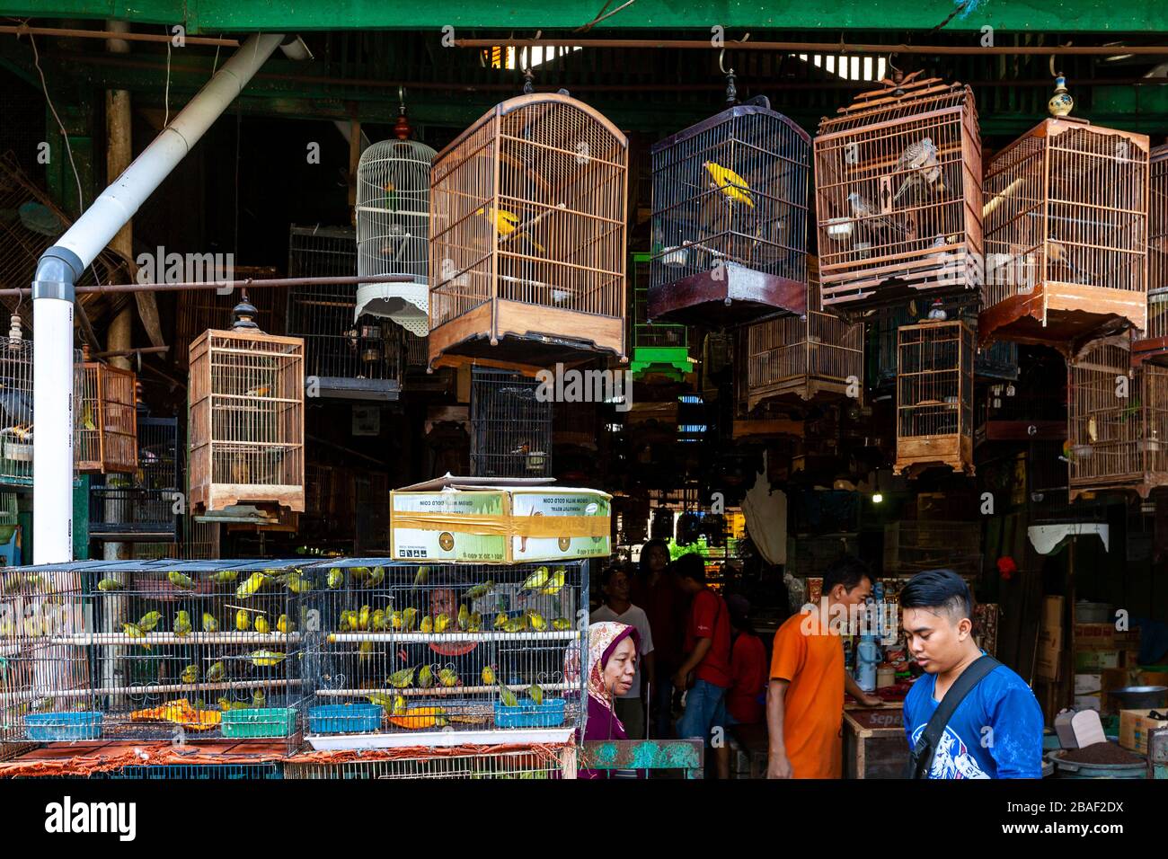 Pramuka bird market jakarta hires stock photography and images Alamy