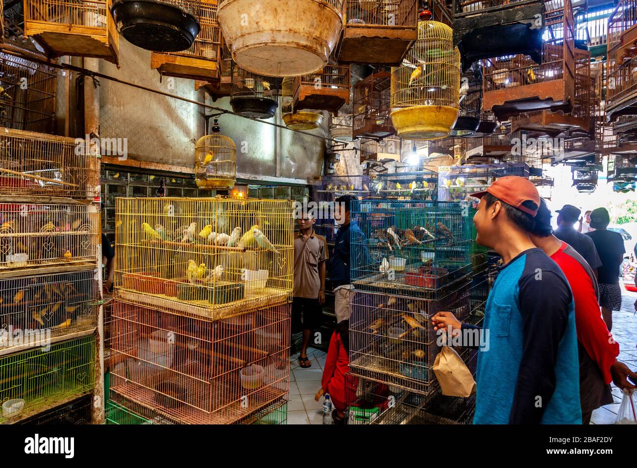 Indonesian People Looking At and Buying Birds At The Pramuka Bird