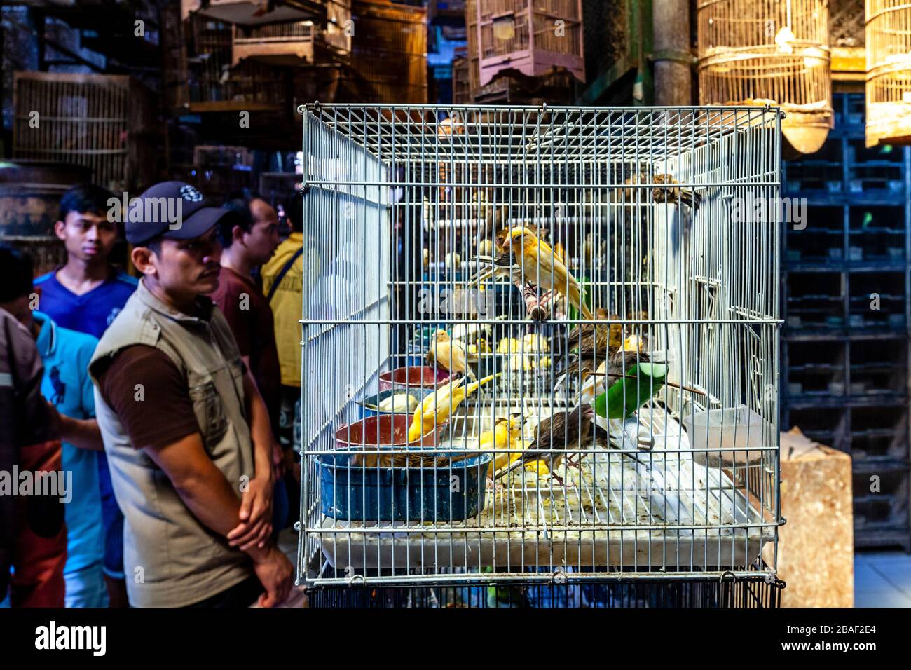 Pramuka bird market jakarta hires stock photography and images Alamy