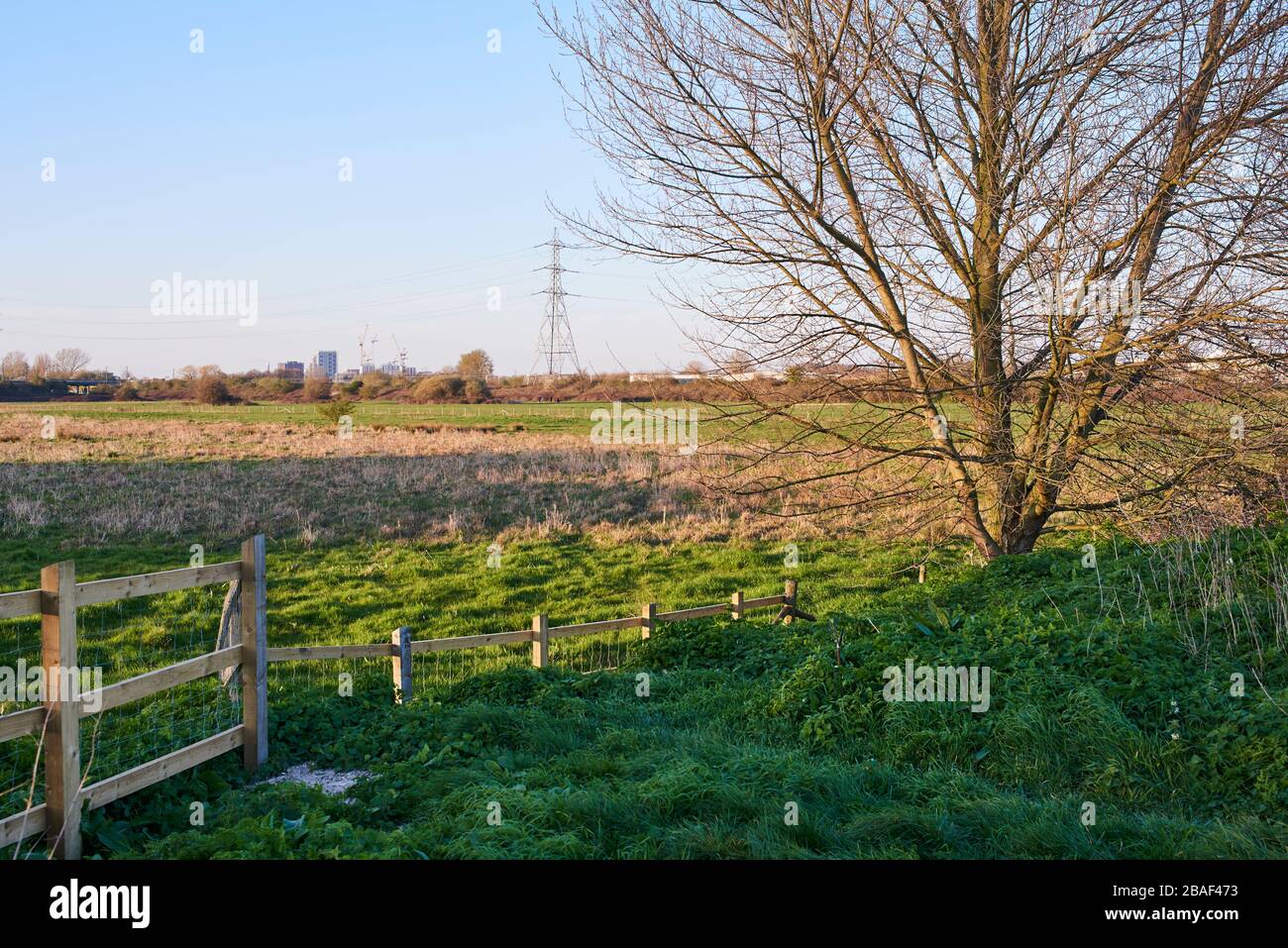 Walthamstow Marshes, North London, UK, in springtime Stock Photo