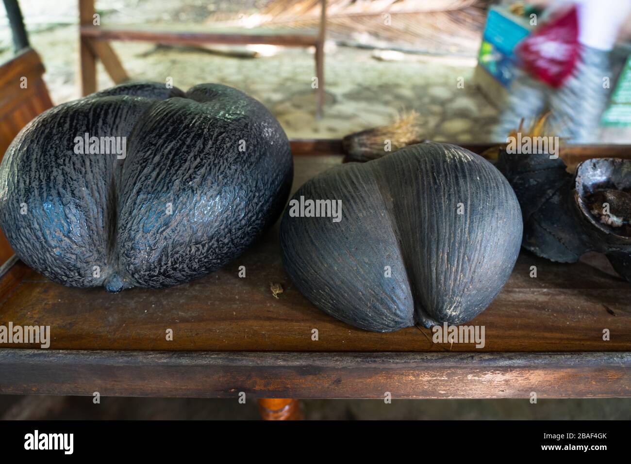 Coco mer hi-res stock photography and images - Alamy