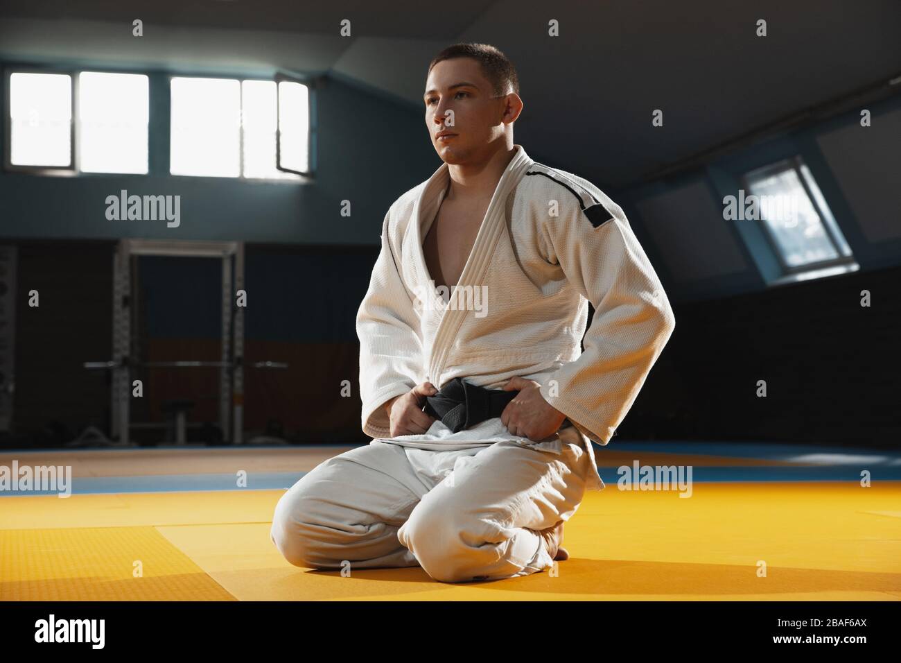 Young judo caucasian fighter in blue kimono with black belt posing  confident in the gym, strong and healthy. Practicing martial arts fighting  skills. Overcoming, reaching target, self building up Stock Photo -