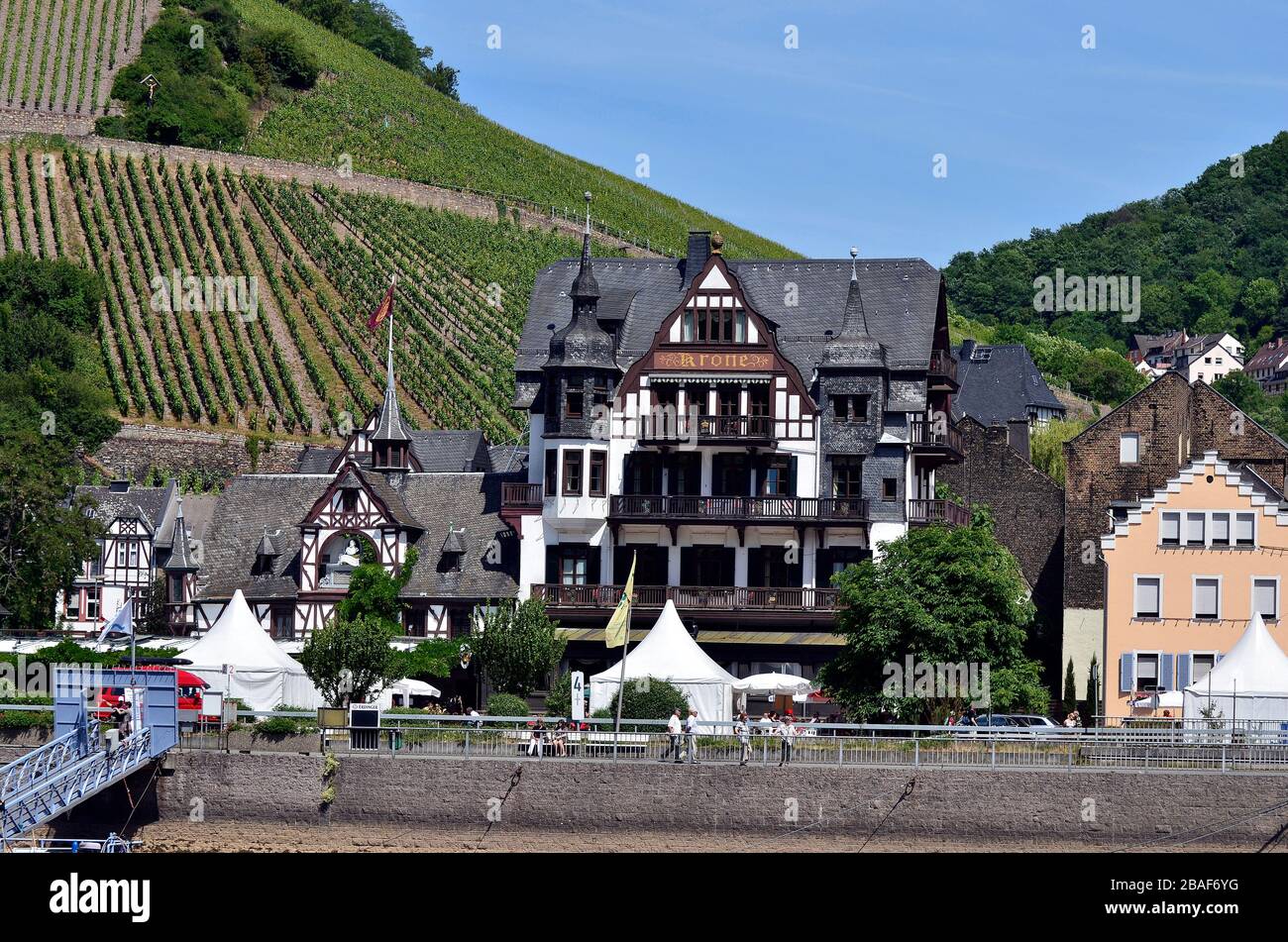 Assmannshausen, the Rhine, Germany main image 1