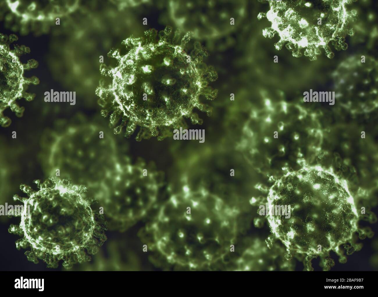 Viral structure. Viral particle is made up of a nucleus of nucleic acid