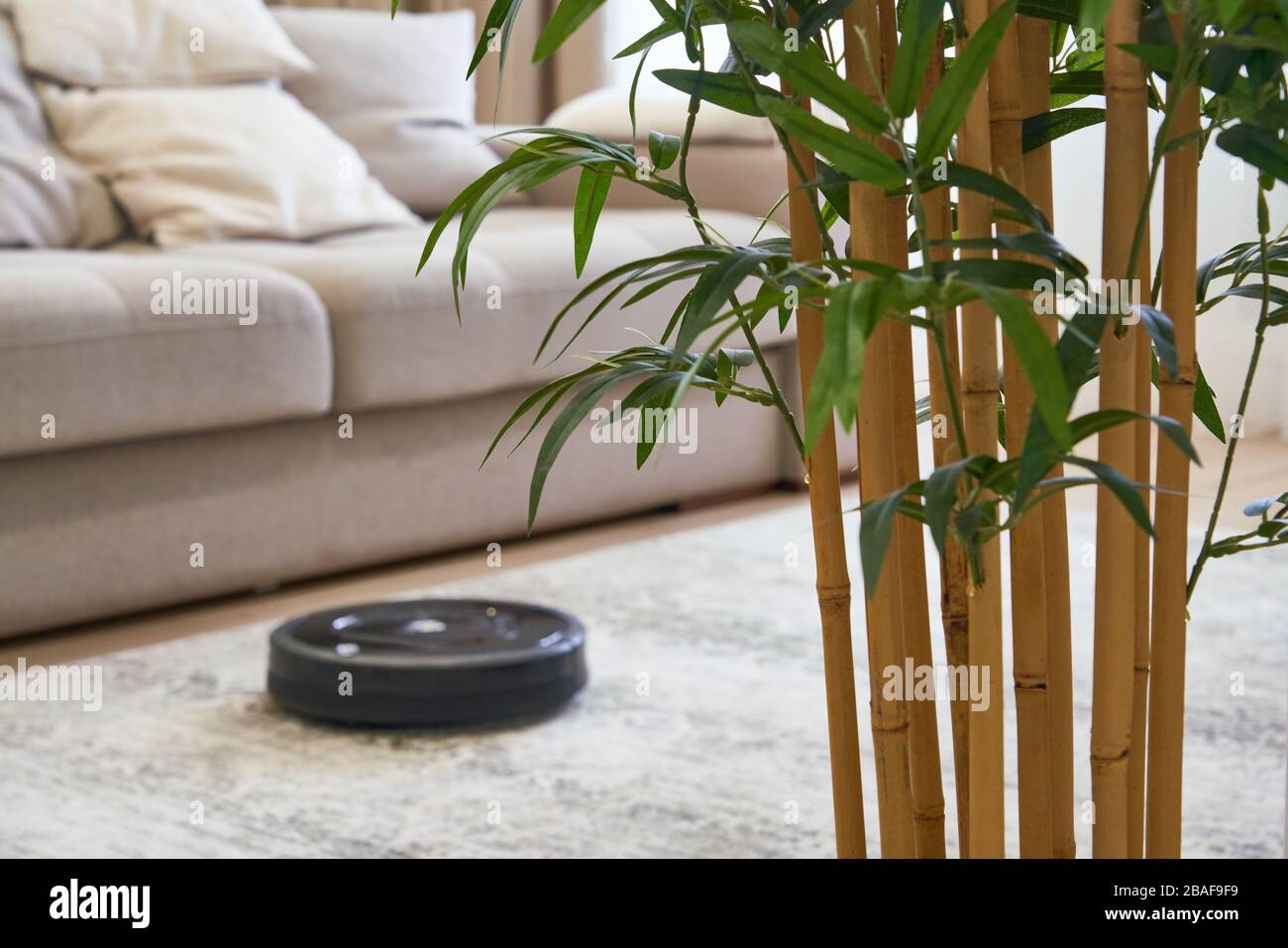 Robotic vacuum cleaner on the floor in cozy modern living room Stock ...