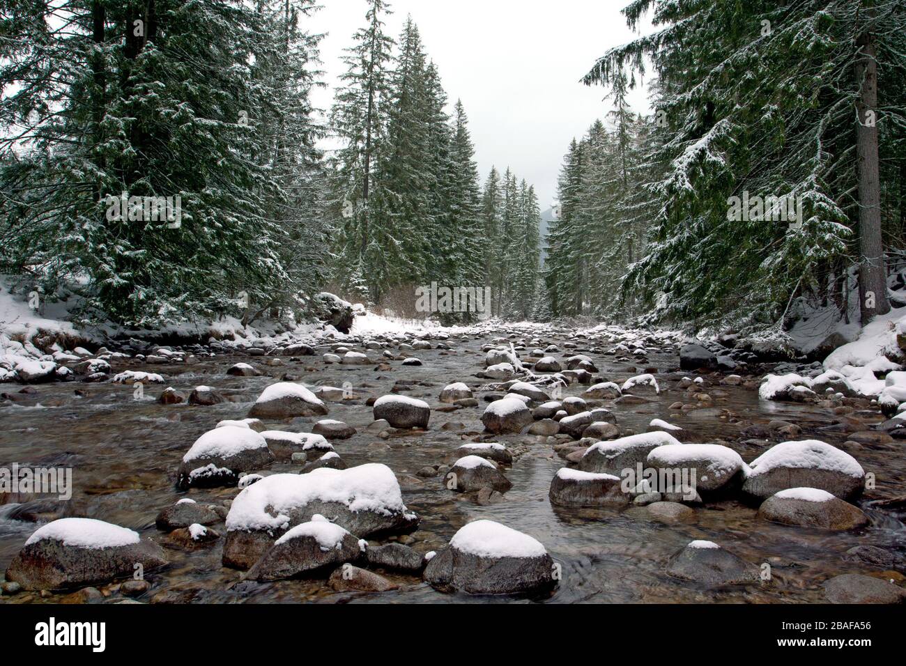 landscape with mountain river in winter Stock Photo - Alamy