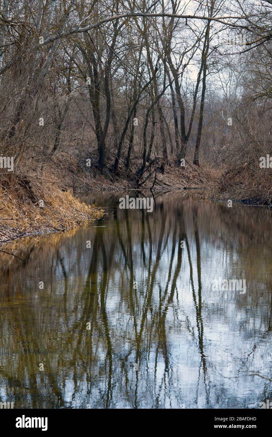 Deep in forest scene small hi-res stock photography and images - Alamy
