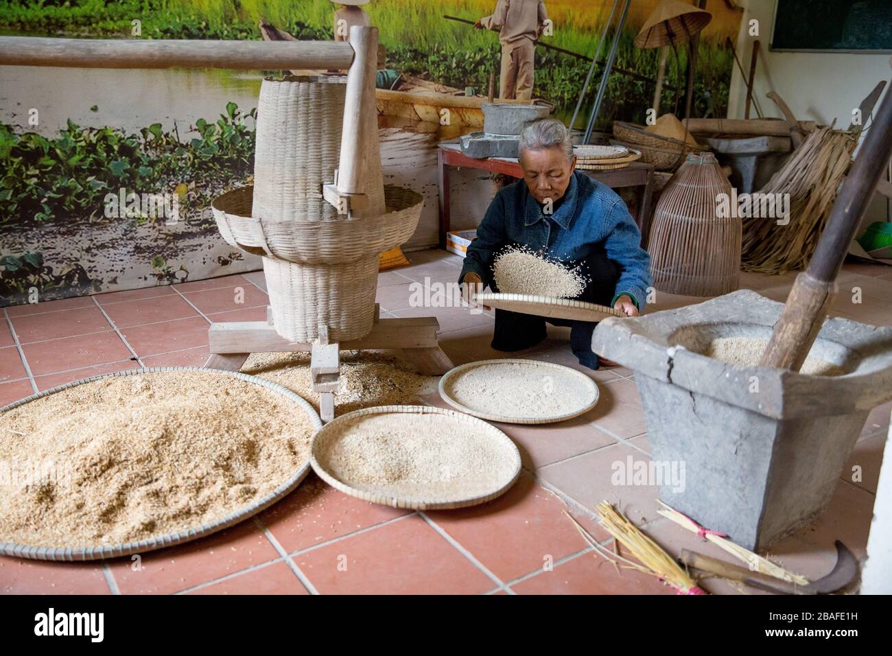 A Vietnamese woman sifting the rice with large bamboo sieve Stock Photo