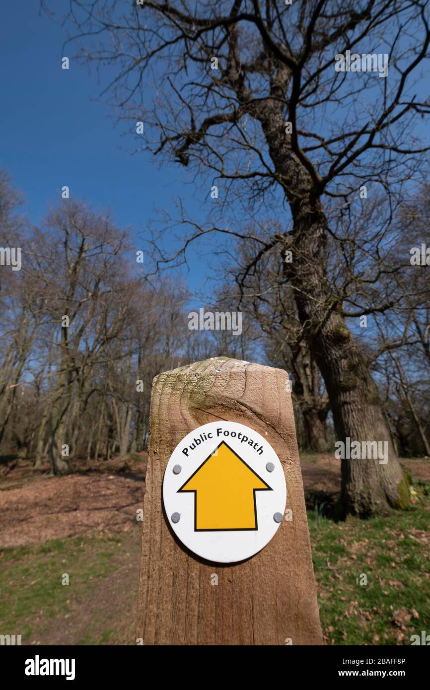 Footpath marker yellow arrow hi-res stock photography and images - Alamy