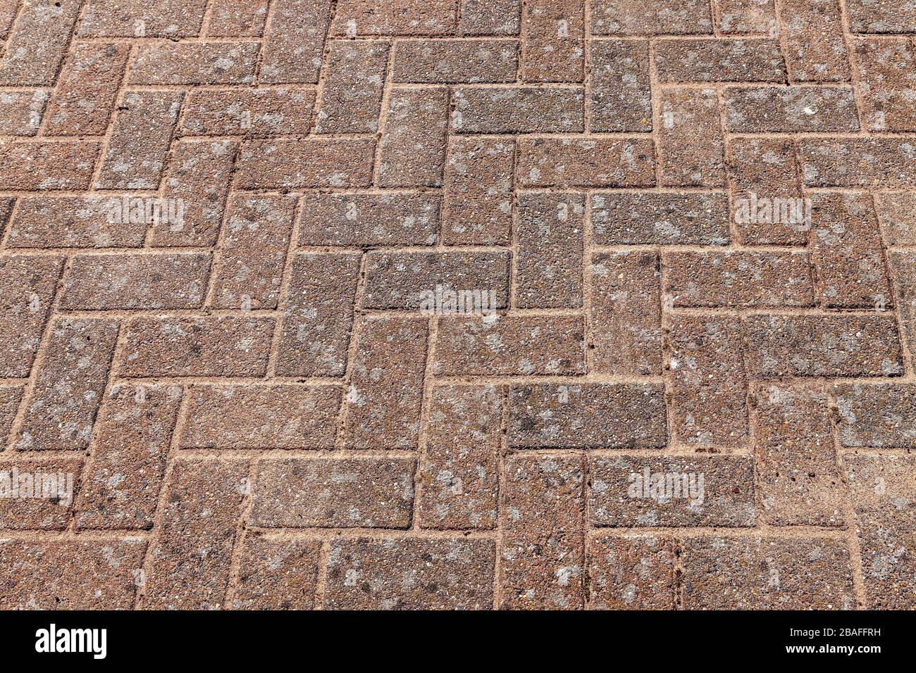 Block paving after being Jetwashing and joint sanded, garden work getting done while in Isolation due to the Coronavirus, March 2020, Northampton, UK. Stock Photo
