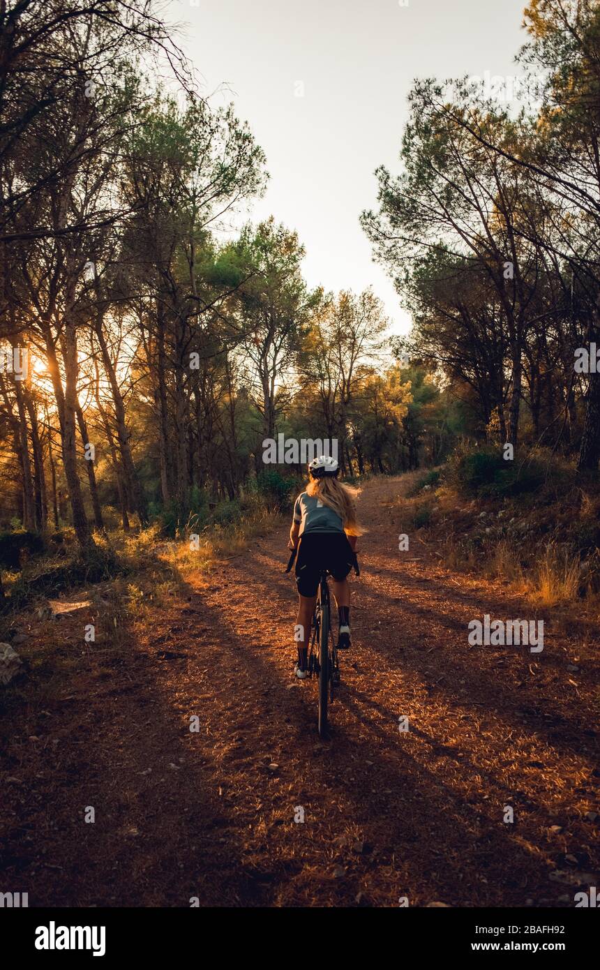 Riding in forest hi-res stock photography and images - Alamy