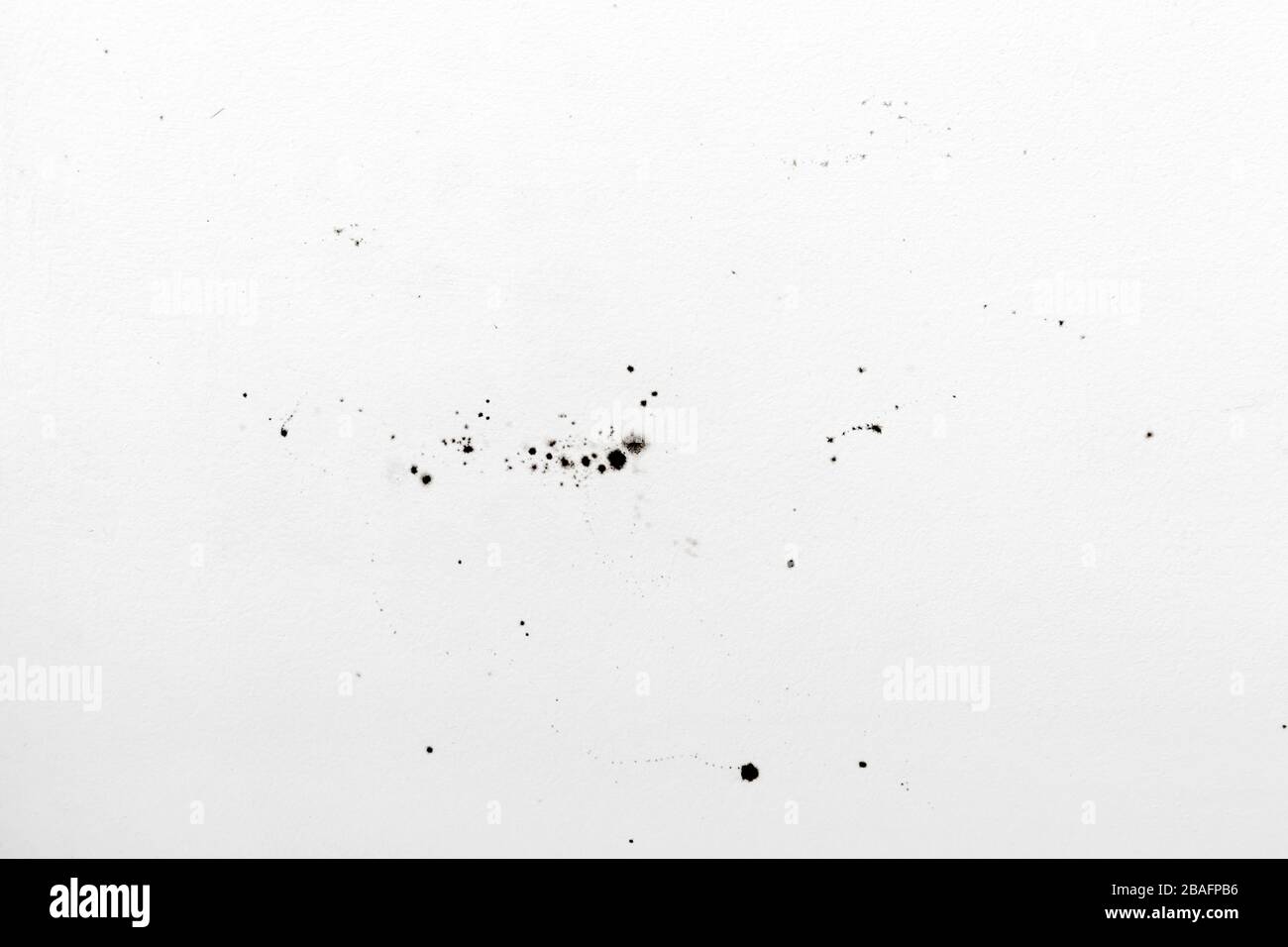 Mold on white wall texture or background. Mold growth on white surface