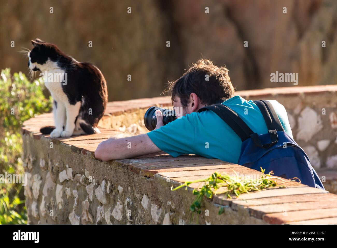 Lagos, Portugal - 4 March 2020: Photographer taking a picture of a cat Stock Photo
