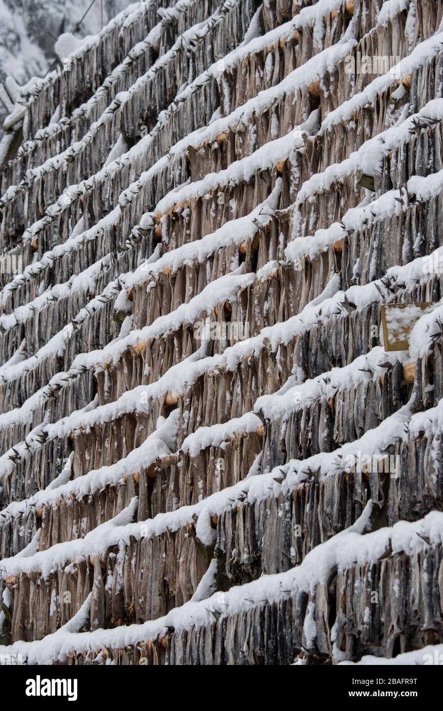 Winter drying rack sale