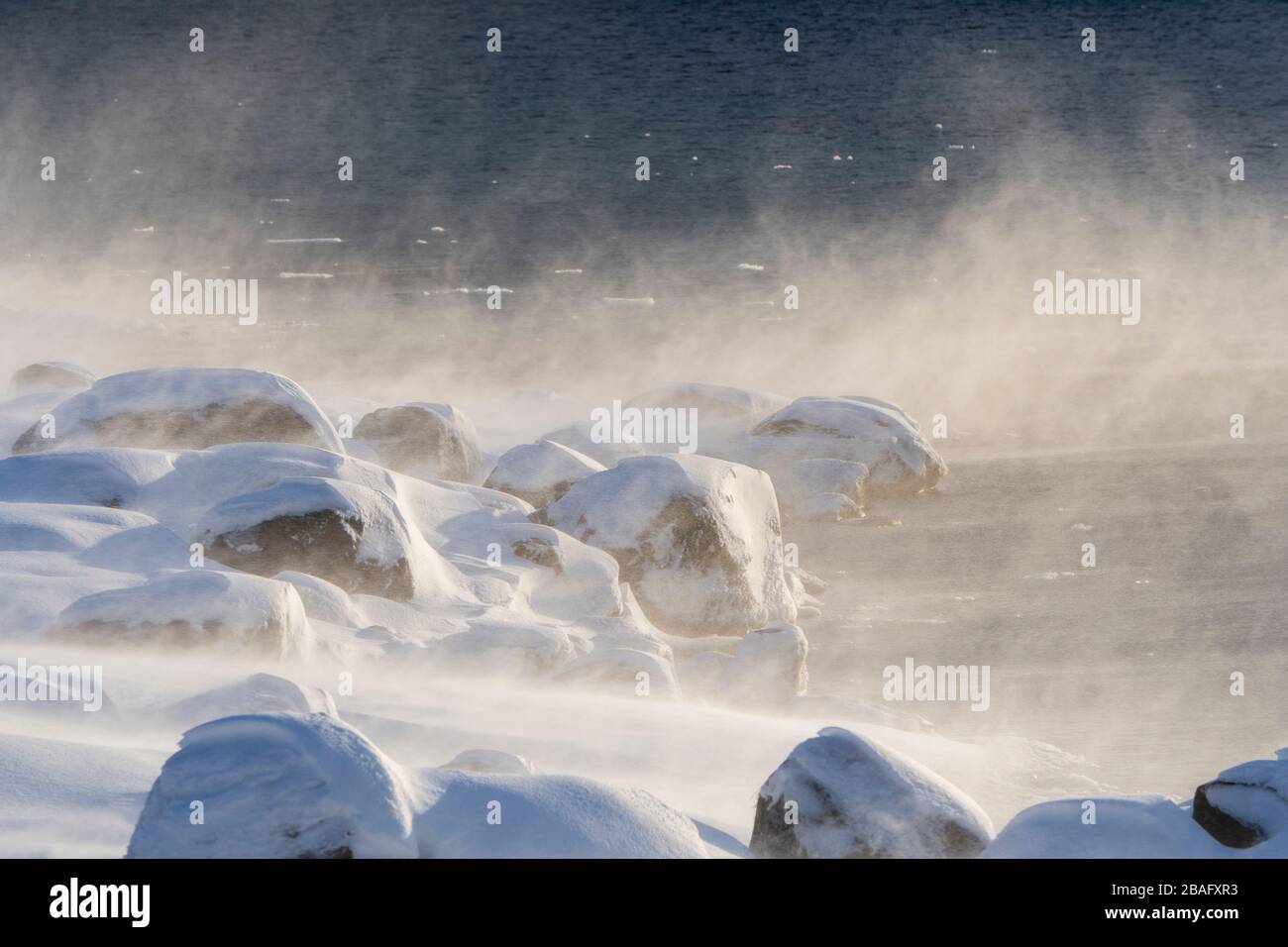 A strong wind is blowing snow along the snow covered coastline of ...