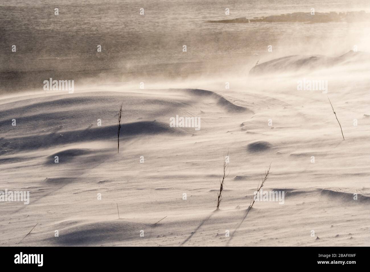 Strong wind hi-res stock photography and images - Alamy
