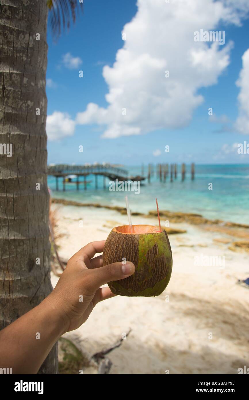 Coconut close up with blurred background Stock Photo