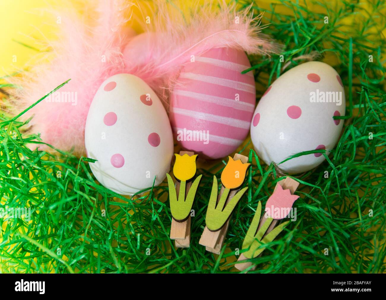 Multi-colored Easter eggs with feathers with green grass on a yellow background. Stock Photo