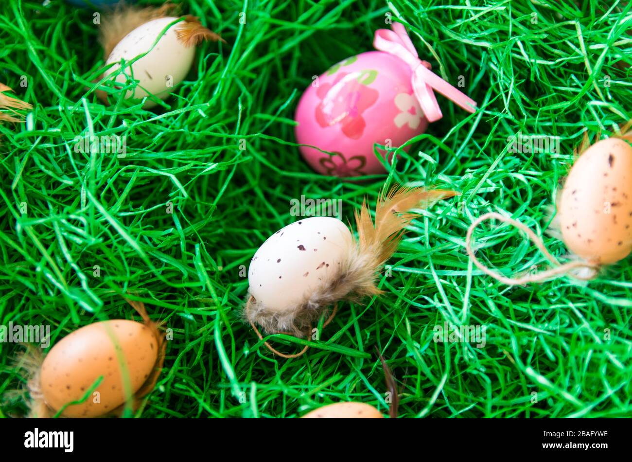 Color Easter eggs on the green grass outside in sunny spring day Stock ...