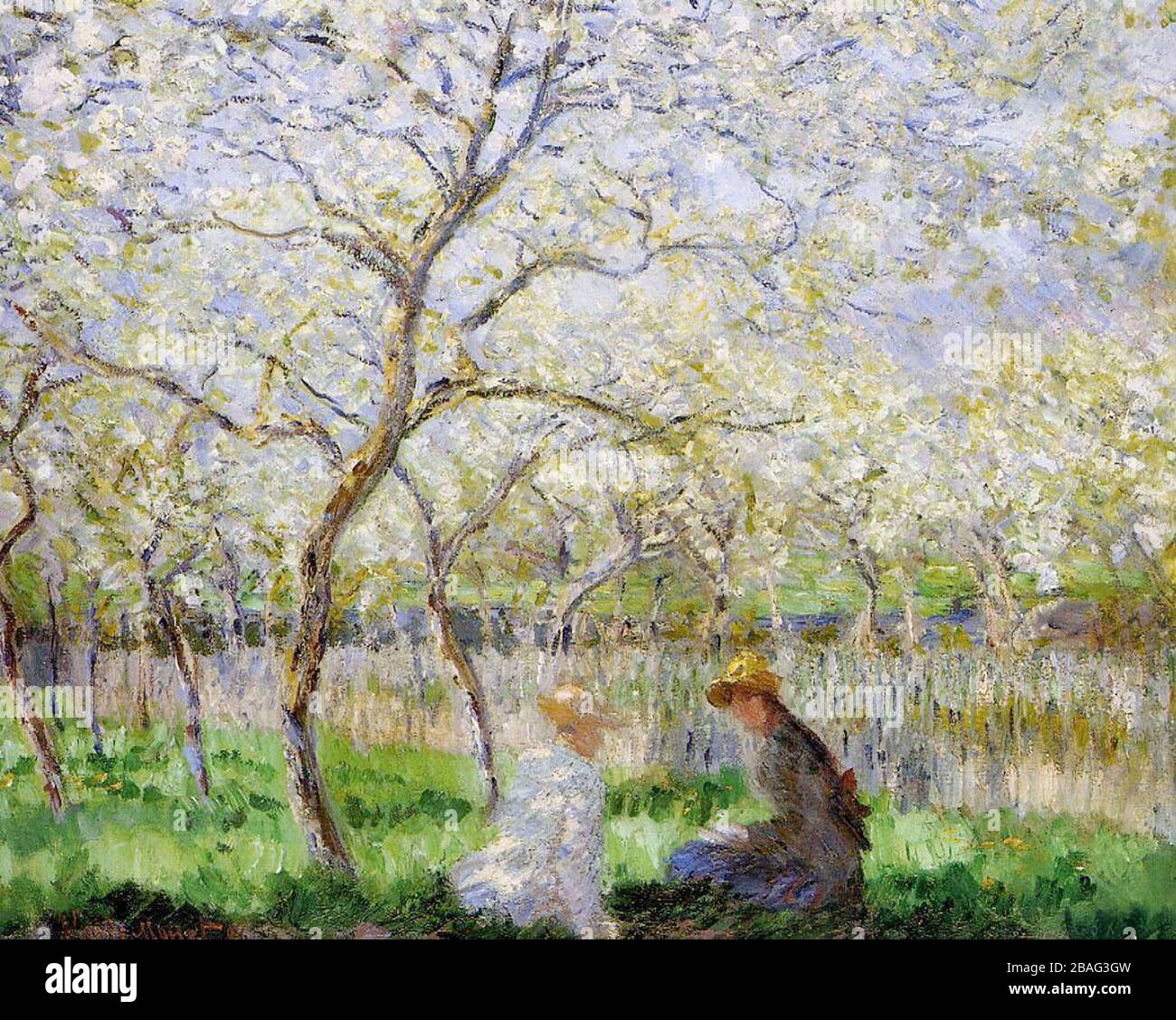 клод моне фазан. клод моне луга в живерни. Blanche hoschedé monet. моне птицы. клод моне ирисы в живерни.