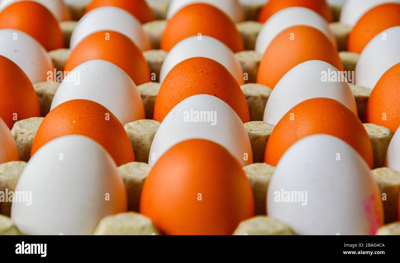 https://c8.alamy.com/comp/2BAG4CA/white-and-brown-chicken-eggs-in-an-egg-box-background-2BAG4CA.jpg