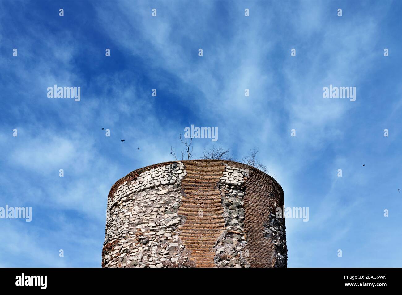The tomb of Priscilla erected in Rome on the Appian Way ,cilindrical tower in opus mixtum and opus reticulatum Stock Photo