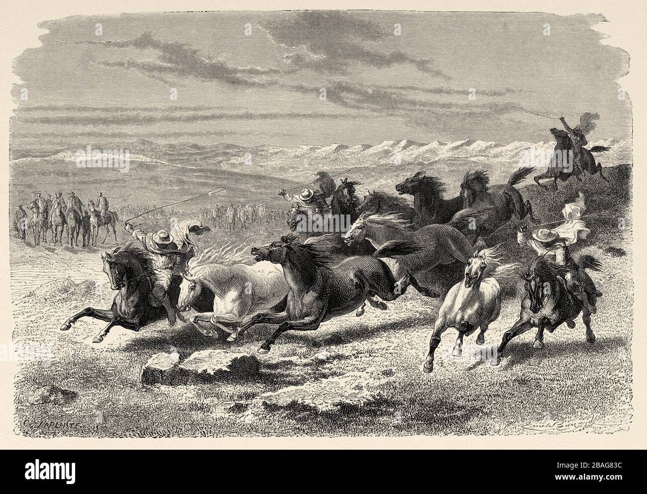 Argentinian gauchos rounding up wild horses in Lauramarca, Peru. South America. Trip to the Valley of the Quinas by Paul Marcoy. Old engraving El Mund Stock Photo