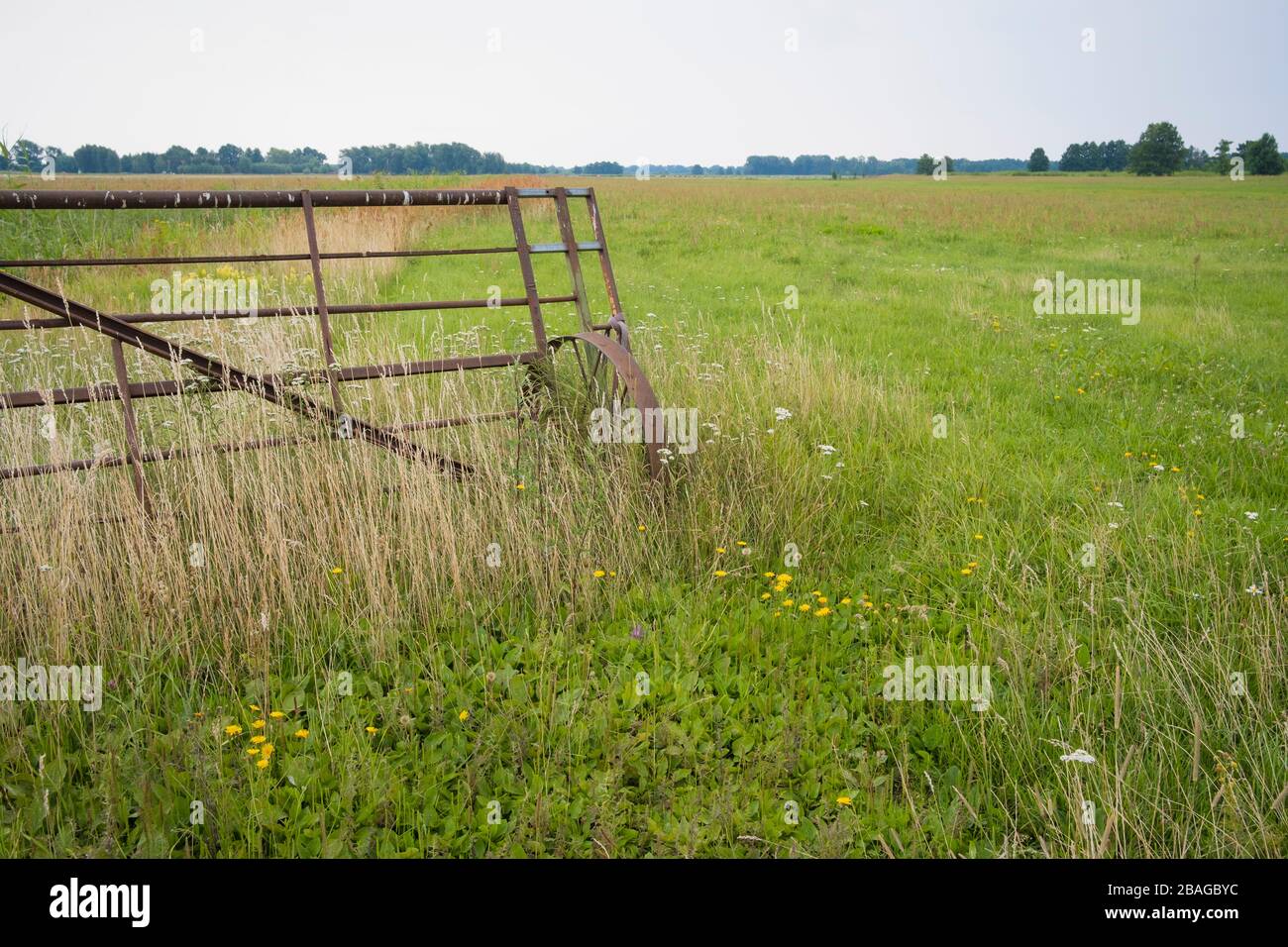Meadows and riverine forest at Nemunas Delta. Lithuania. Stock Photo