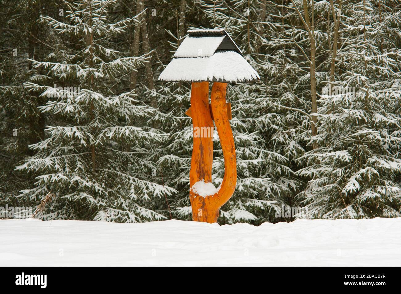 wooden pointer in winter forest Stock Photo - Alamy