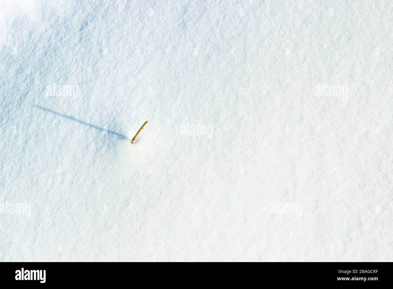 Snow texture. Abstract winter background. Stock Photo