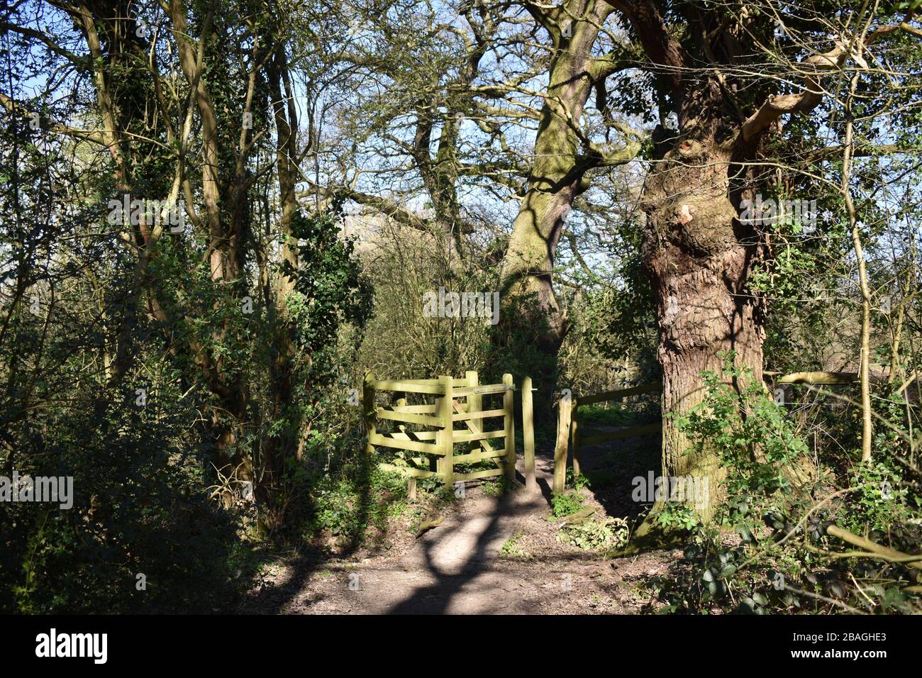 Buckhurst hill hi res stock photography and images Alamy Buckhurst hill hi res stock photography and images Alamy