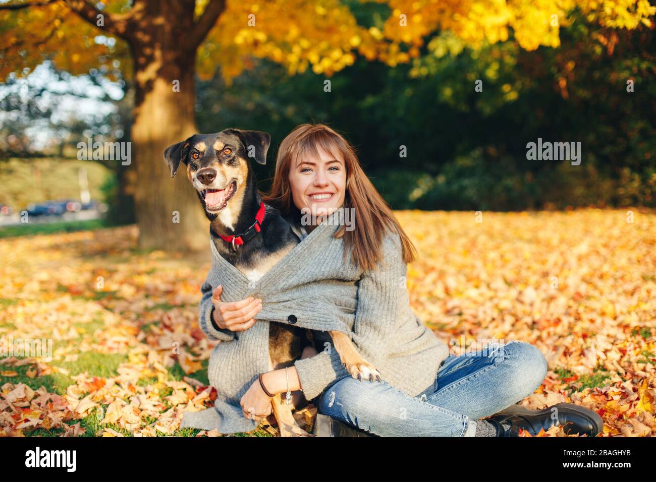 Happy young Caucasian woman sitting on ground hugging dog. Owner walking with pet on autumn fall day. Best friends having fun outdoor. Friendship of h Stock Photo