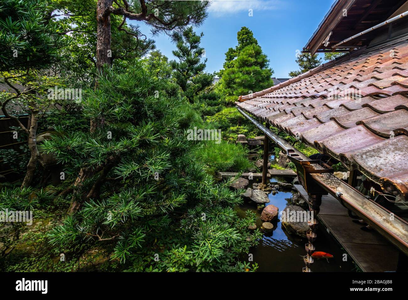 Scenic view of the lush green garden of Nomura Samurai house (Nomura-ke) in Kanazawa, Japan Stock Photo
