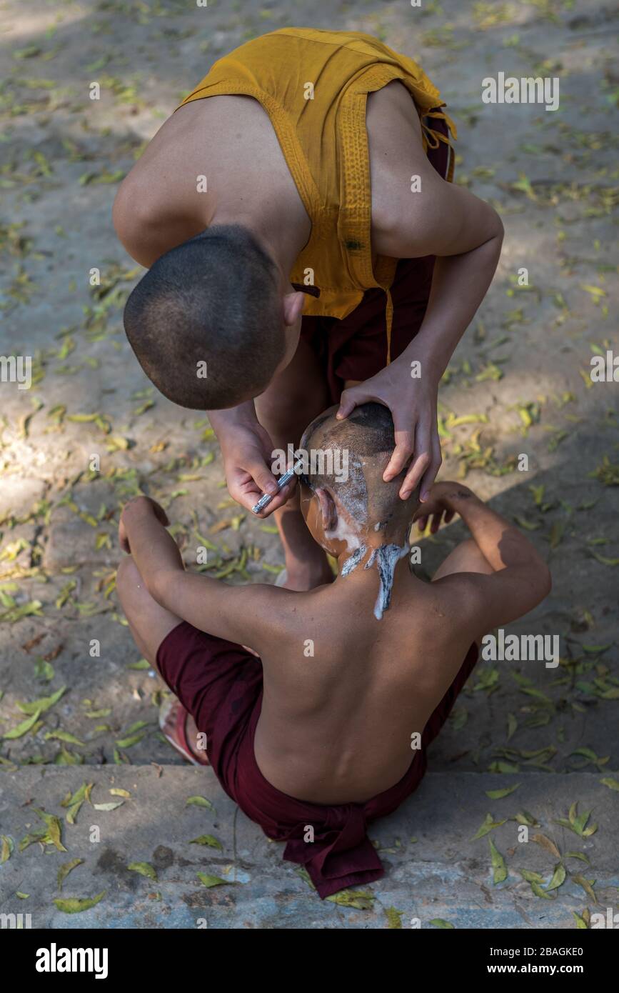 Monks shaving, Bagan, Myanmar Stock Photo