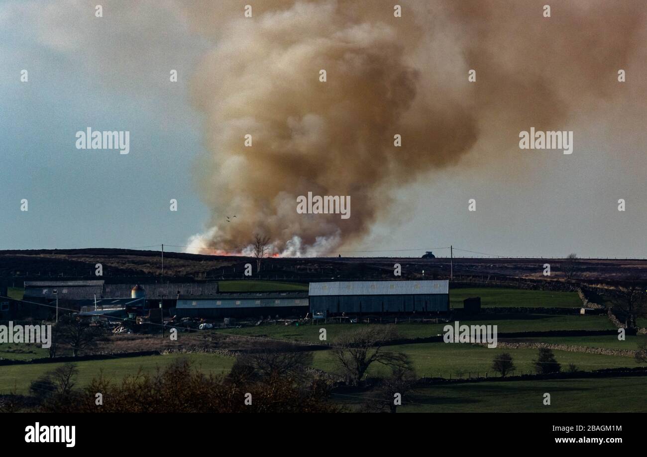 Moorland burning in Yorkshire. Stock Photo