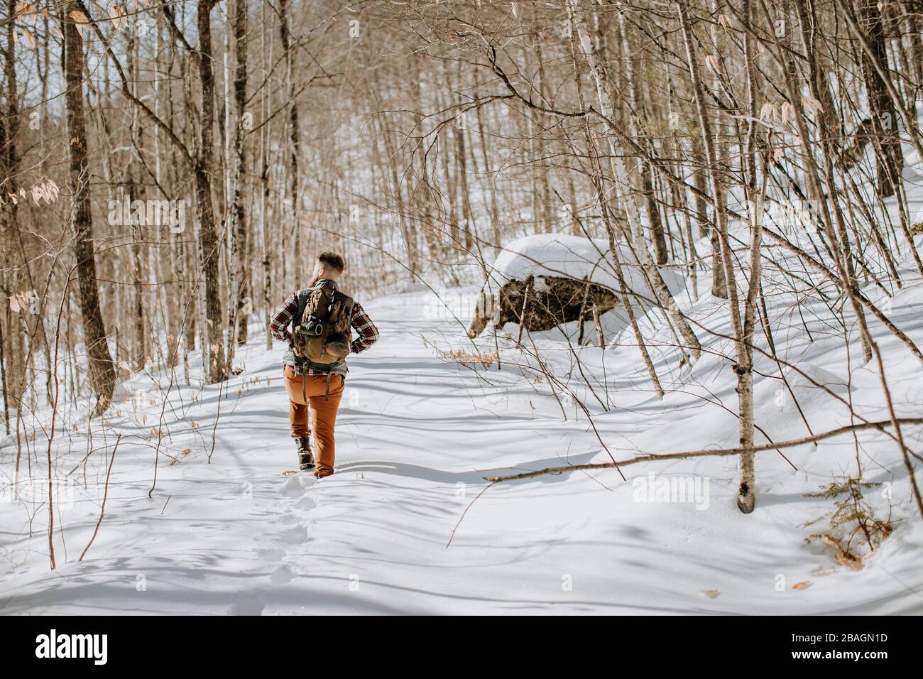 Man walks through winter forest hi-res stock photography and images - Alamy