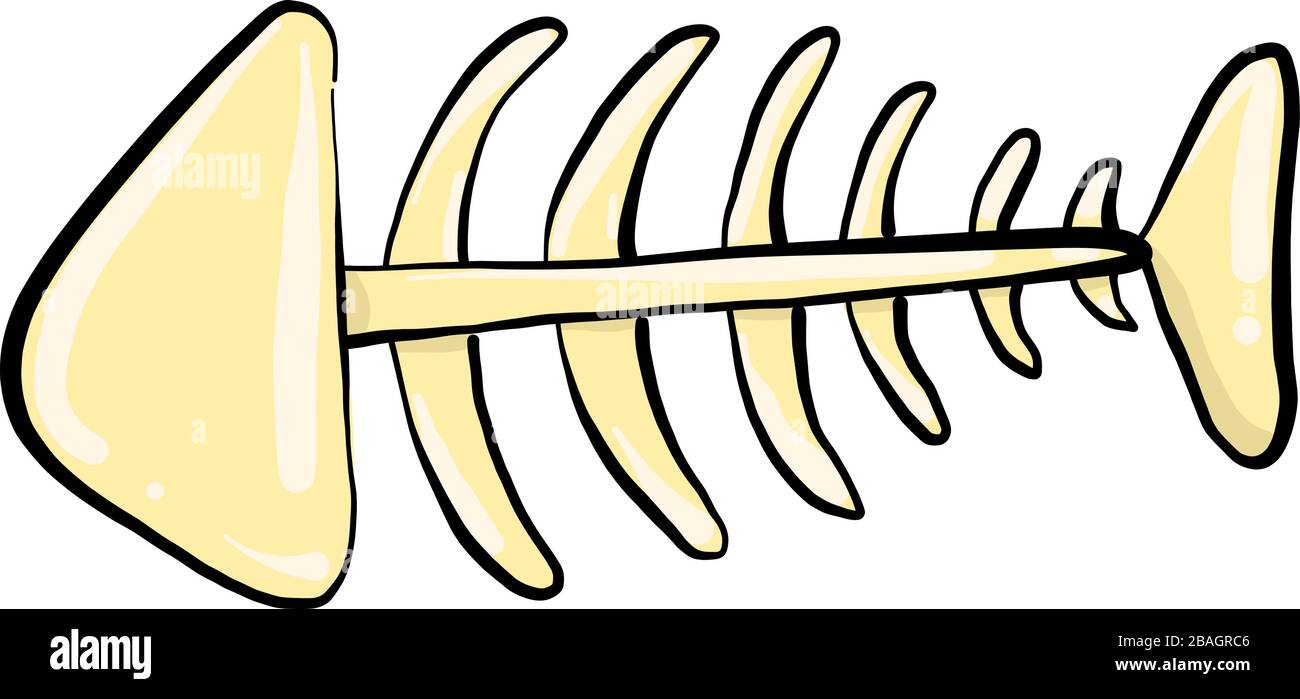 Fish bone, illustration, vector on white background Stock Vector