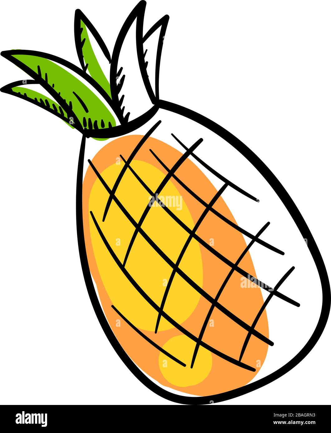 Pineapple fruit, illustration, vector on white background Stock Vector ...